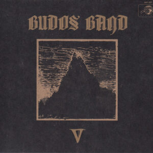 Budos Band, The - 2019 - V
