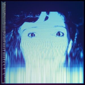 Avalanches, The - 2020 - We Will Always Love You