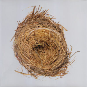 Wilco - 2004 - A Ghost Is Born