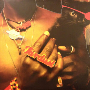 Williams, Saul - 2008 - The Inevitable Rise And Liberation Of Niggy Tardust